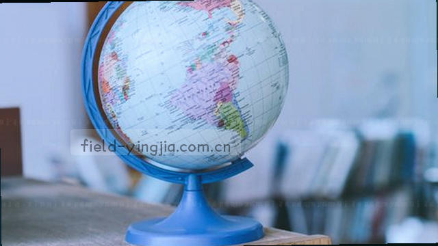 流程节点精要
数据节点速览
阶段闭环概要